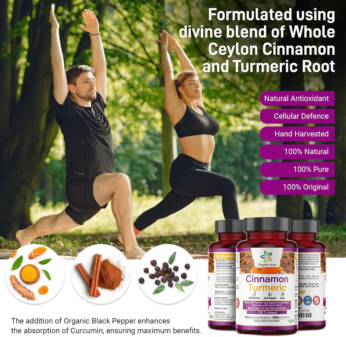 Organic Aura International Pure Ceylon Cinnamon and Turmeric Curcumin