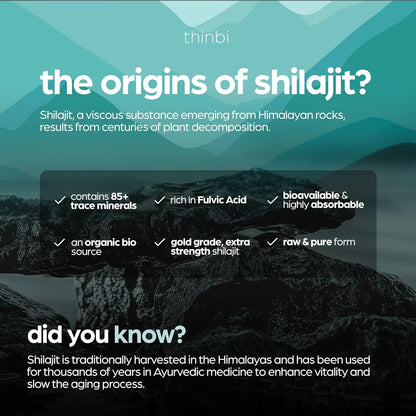 Thinbi Shilajit Resin 4oz